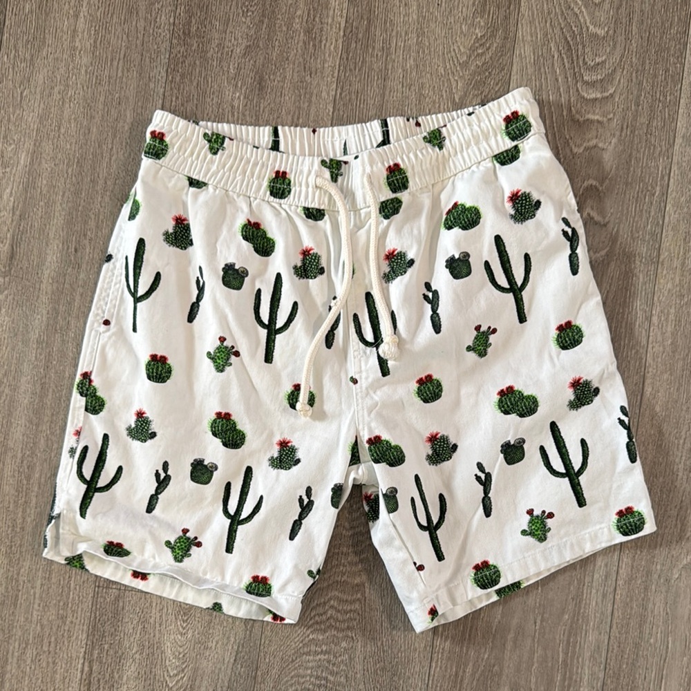 Zipcode cactus design shorts men’s sz M